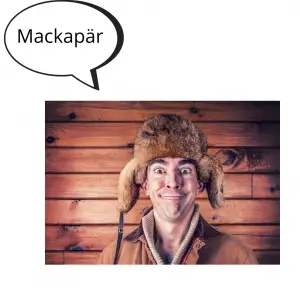 roliga svenska ord