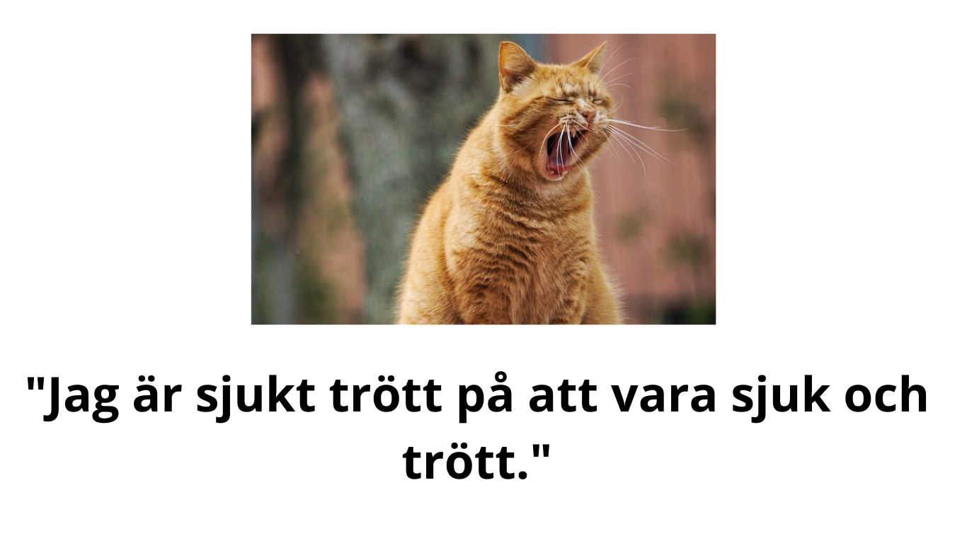 Sitat Roliga Roliga Citat - 182 Roliga Svenska Citat 2022