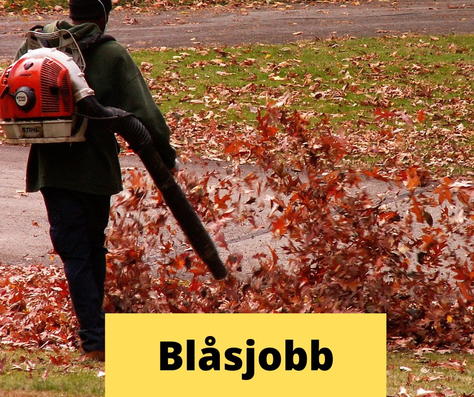 Roliga Bilder Med Text 20 Roliga Bilder Med Text P Svenska
