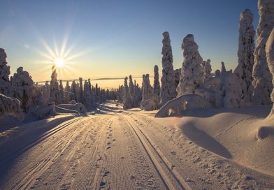 Vinter citat – citat om vinter på svenska 2022