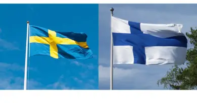 Finlandssvenska ord – 430 finlandssvenska ord svenskar inte kan 2022